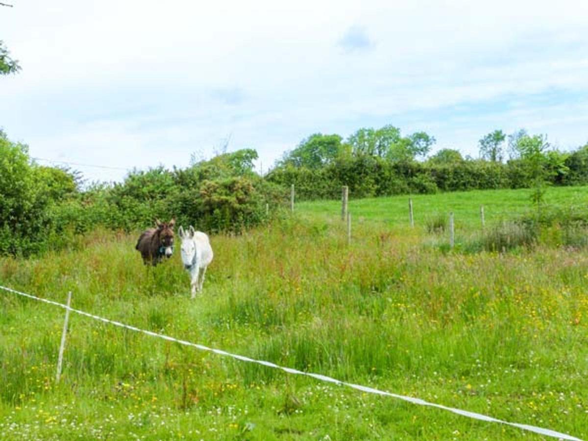 Lemonade Cottages Kilrush Bagian luar foto